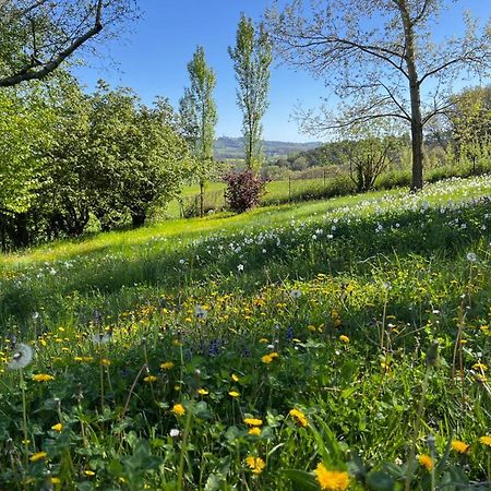 Bergerie Bed & Breakfast Montjustin Exterior photo